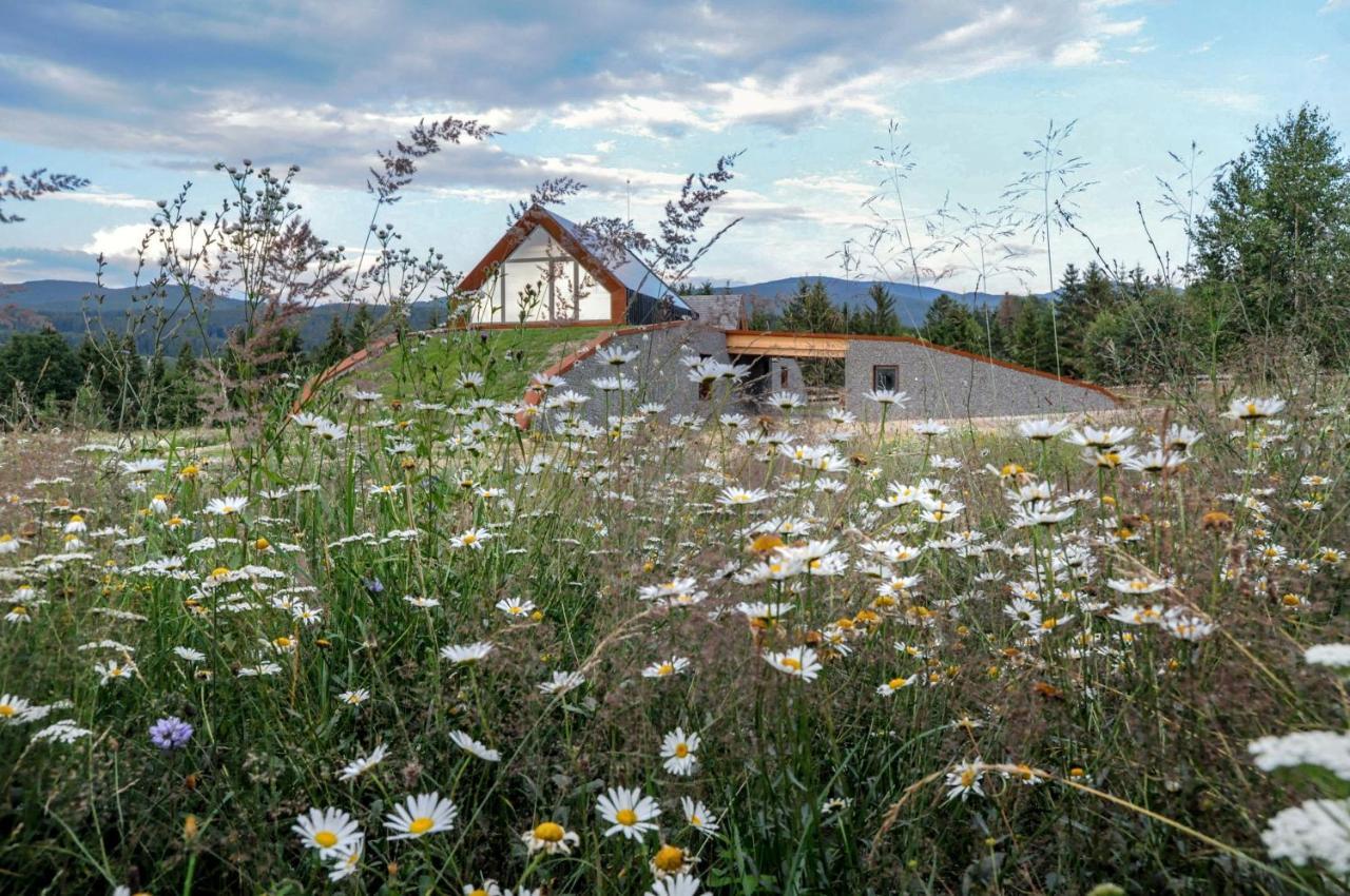 Beechtree Property Izvoare  Exterior foto